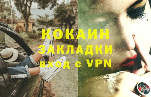 шишки Володарск
