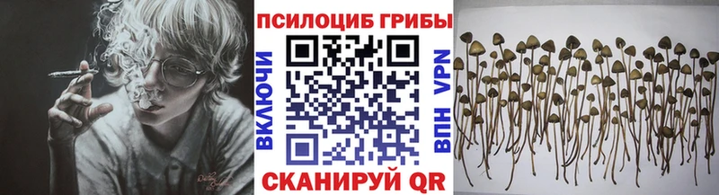 Галлюциногенные грибы Cubensis Купить где Демидов